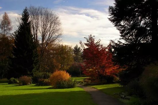 Jardin Botanique Alpin de Meyrin