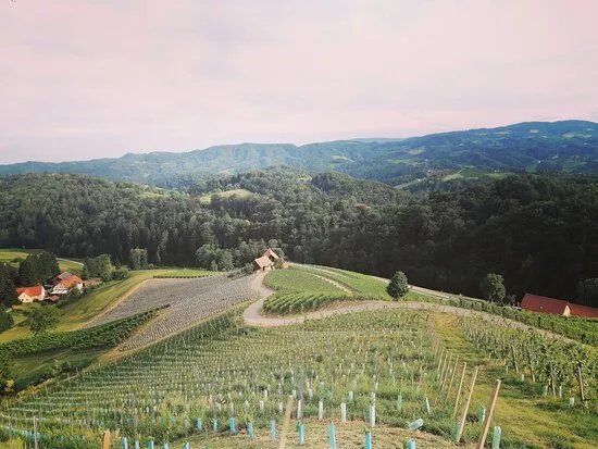 Serbinek Winery & the Heart-Shaped Wine Road