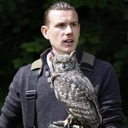 WYE VALLEY FALCONRY