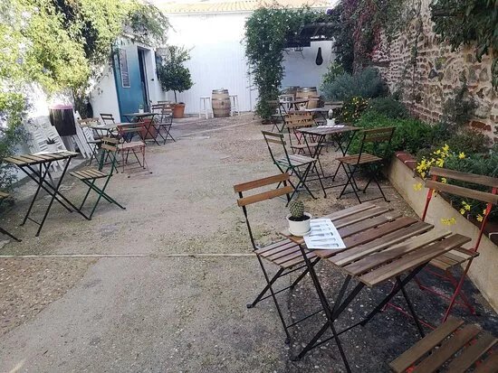 Visita y Cata en Bodegas Tierra Savia