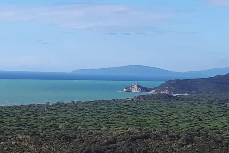 House / Villa - Castiglione della Pescaia