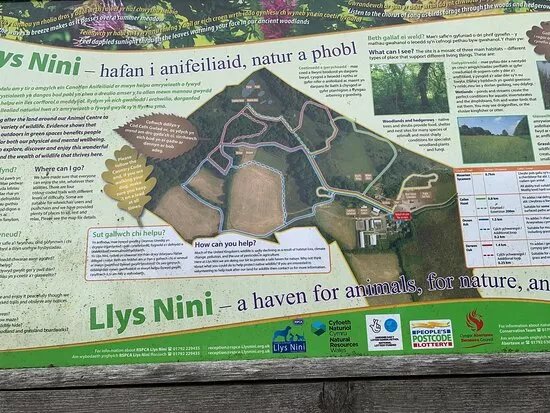 Llys Nini Rspca