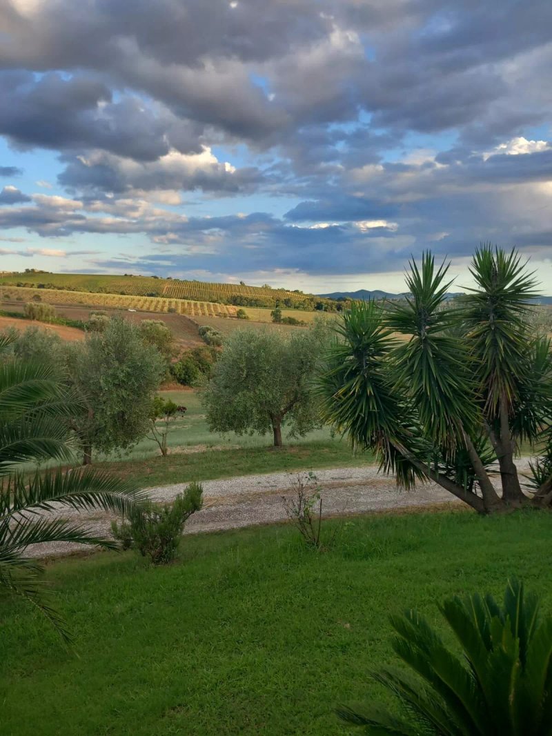 Agriturismo Olivetello