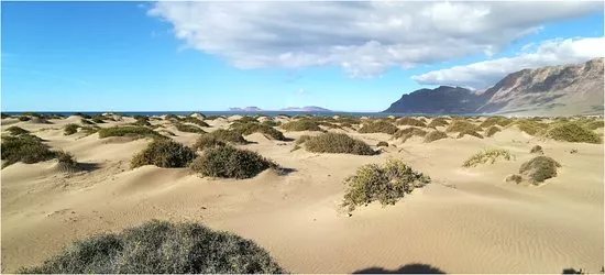 Caleta De Famara