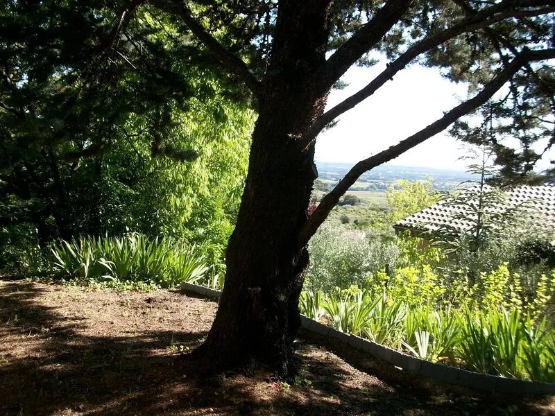 Wood Shed in Provence, at the foot of Mont Ventoux