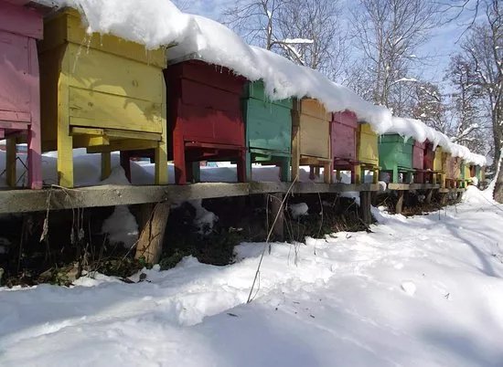 Zarapovo Honey House