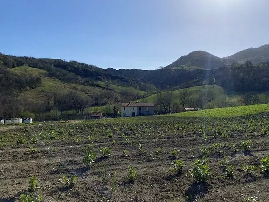 Azienda Agricola Il Molinetto di Riccardo Piccioli