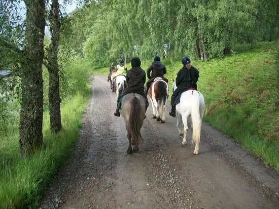 Highlands Unbridled Trail Riding & Trekking Centre
