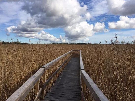 Laajalahti Nature Reserve