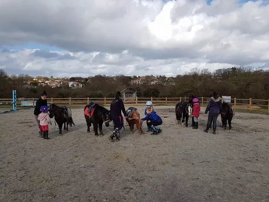 Poney Club de la Vie