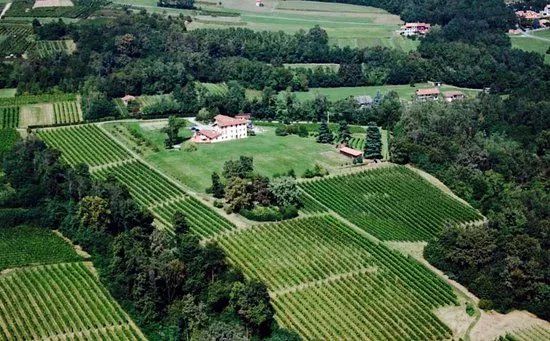 Azienda vitivinicola Il Roccolo di Mezzomerico