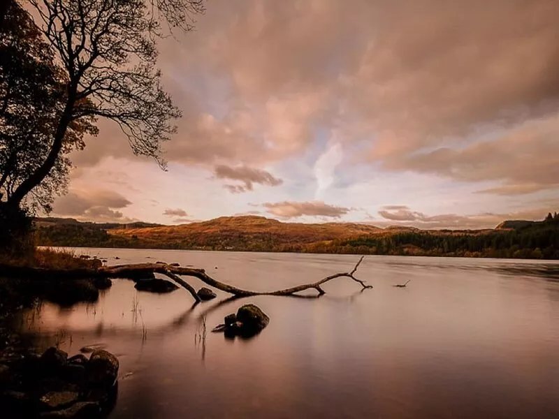 Authentic log cabin in a lovely forest location close to stunning Loch Awe