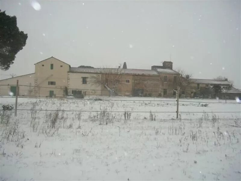 In the middle of the vineyard in the castel