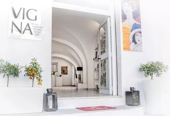 VIGNA - Visuale Innovativa Galleria Nuove Arti