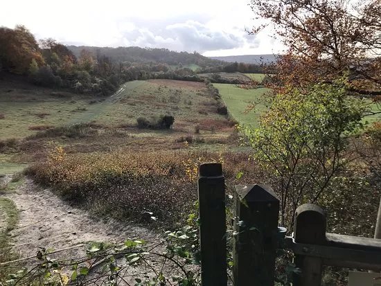 Grangelands and the Rifle Range