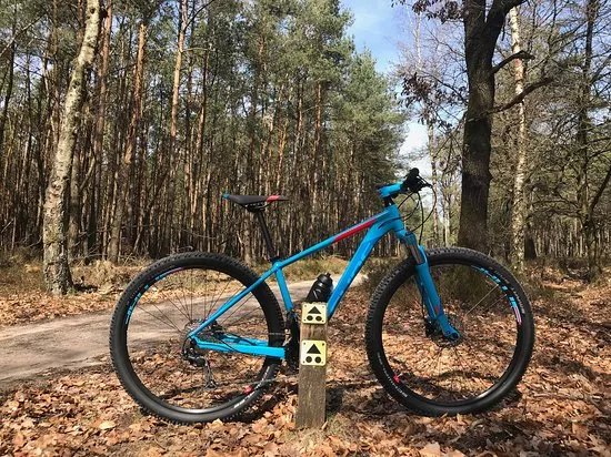 Mountainbike Experience Arnhem