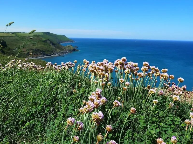 Crackington Haven, Bude, Kiberick Cottage, walk to the Beach, peace awaits