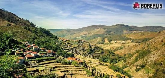 Borealis on Trekking - Day Tours
