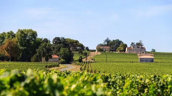 Chateau Champion