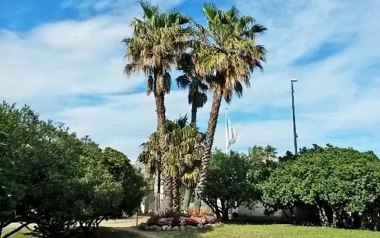 Jardin Botanique Des Myrtes