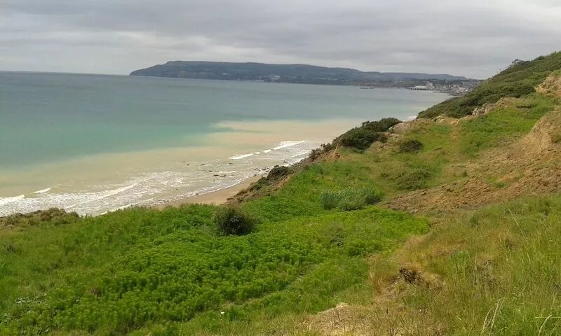 Seashore Chalet , holidays by the sea.
