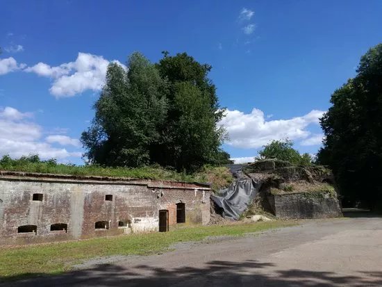 Grauerort
