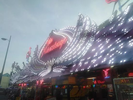 The Flamingo Amusement Arcade