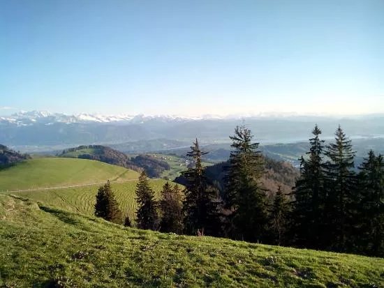 Quad Toesstal GmbH