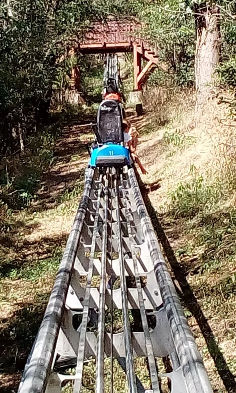 Rodelbahn Petersberg