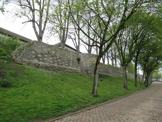 Middeleeuwse wallen