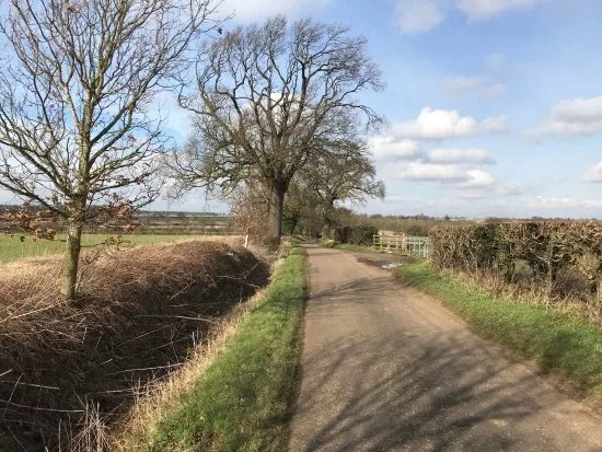 Greensand Ridge Walk