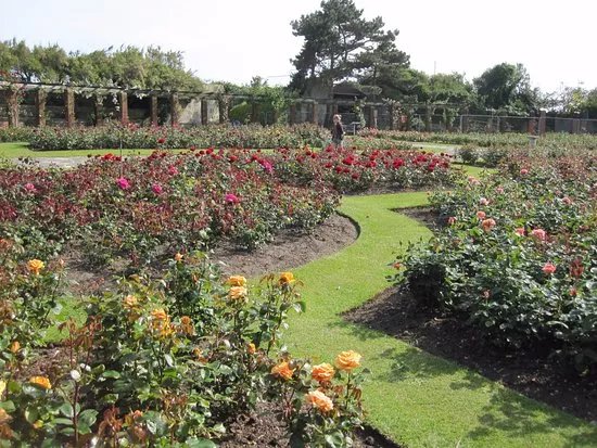 Southsea Rose Garden