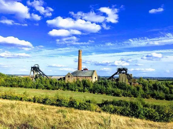 Pleasley Pit Country Park and Local Nature Reserve