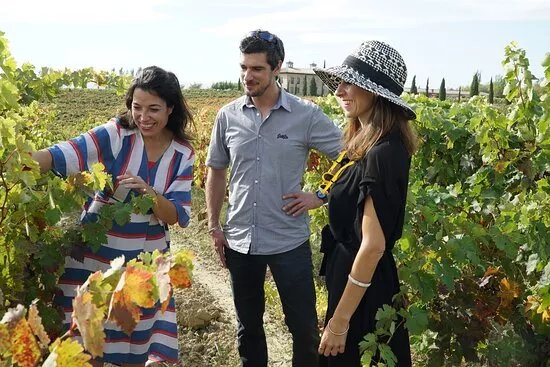Rioja Wine Trips