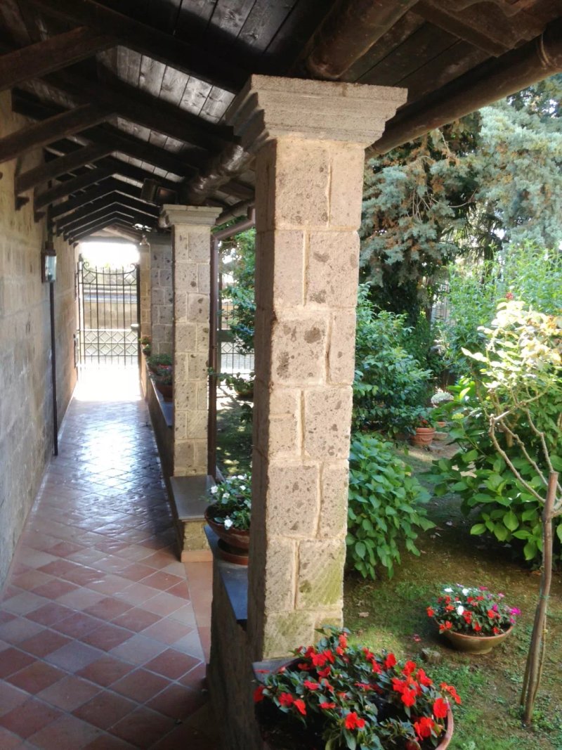 La Contessa Siffridina