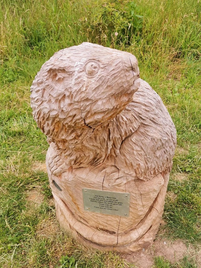 Pages Wood