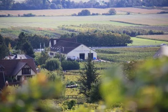 Domaine Riefle