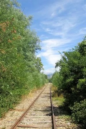 Velorail de Haute-Provence