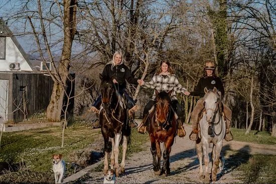 Wild Spring Ranch
