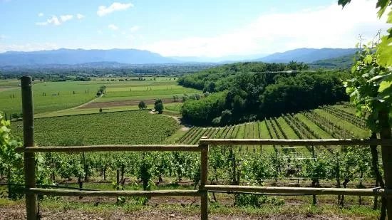 Tenuta Villanova