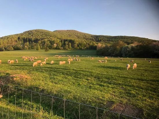 Farma pod Vtacnikom