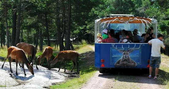 Karingsunds Viltsafari