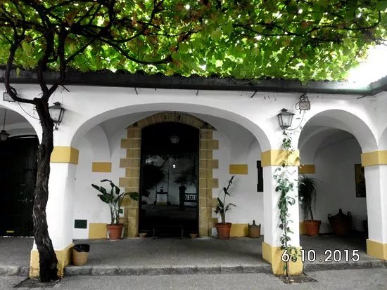 Bodegas Tradicion