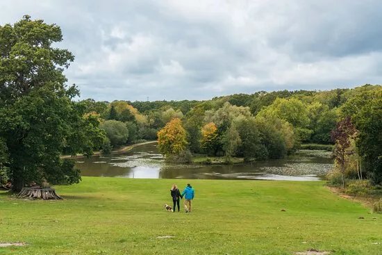 Staunton Country Park