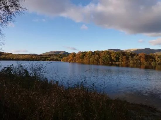 Gartmorn Dam Country Park & Nature Reserve
