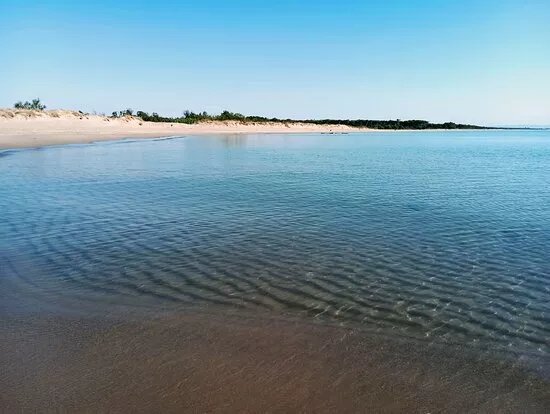 Riserva Naturale Statale Di Metaponto