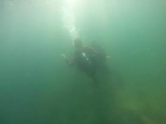 Revolution Dive Javea