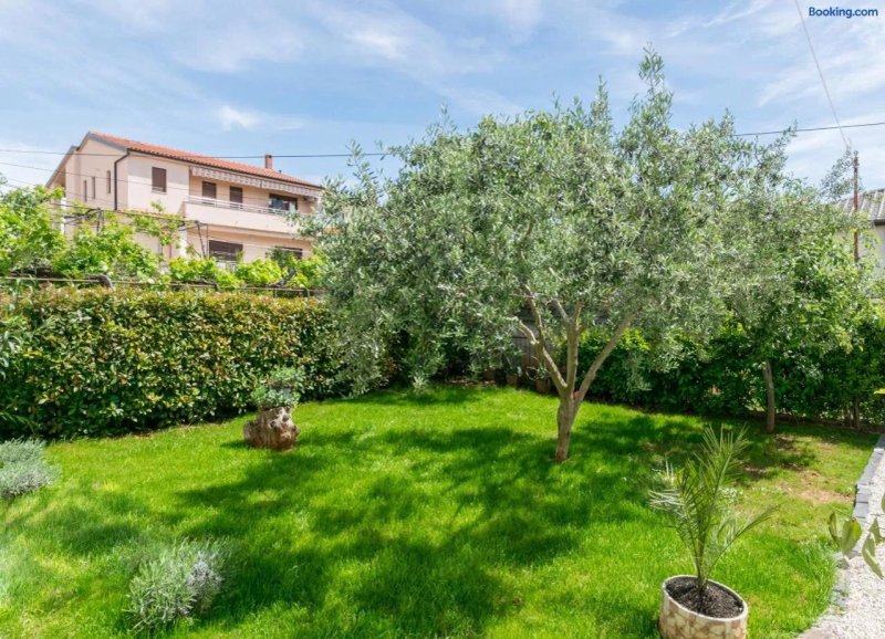 Lavanda Maslina - New Luxury Apartments