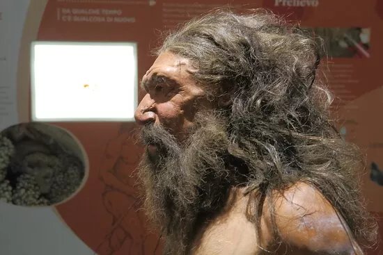 Museo Nazionale Archeologico di Altamura
