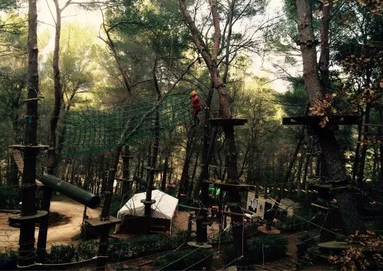 Le Royaume des Arbres - Parc d'Auriol